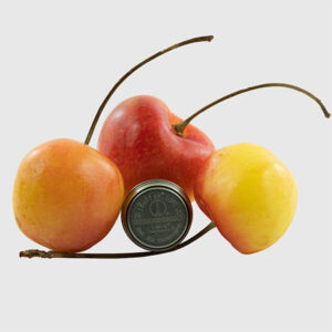 DS1921G Thermochron with 3 Rainier Cherries