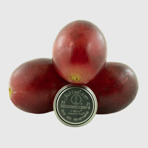 DS1921Z Thermochron iButton with Red Grapes