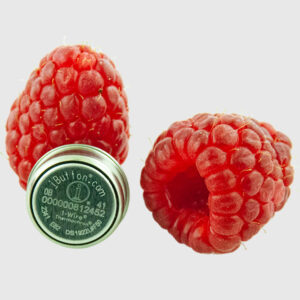 DS1922L Thermochron with Red Raspberries