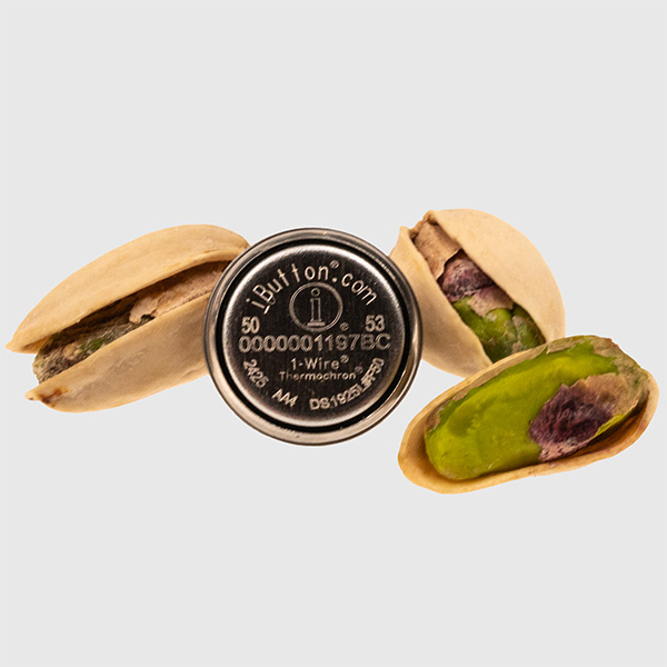 DS1925L Thermochron iButton with Pistachios