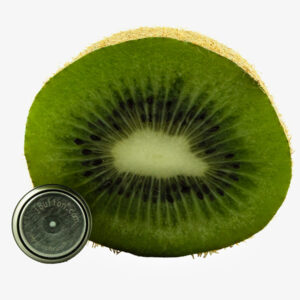DS1923 Hygrochron iButton in front of a cut kiwi